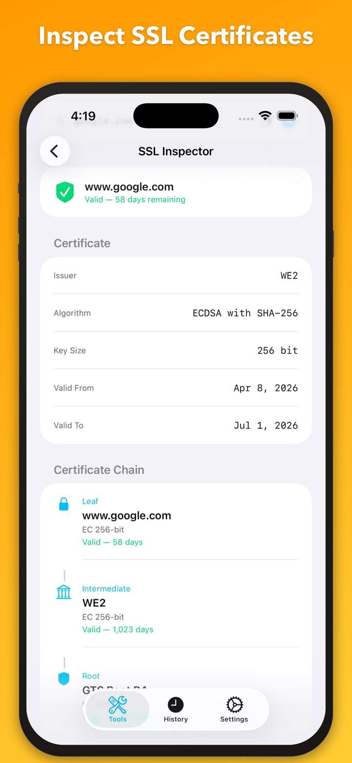 NetProbe SSL Inspector showing TLS certificate chain
