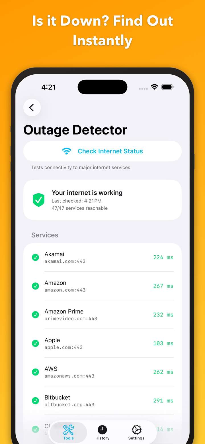 NetProbe Outage Detector checking if a site is down