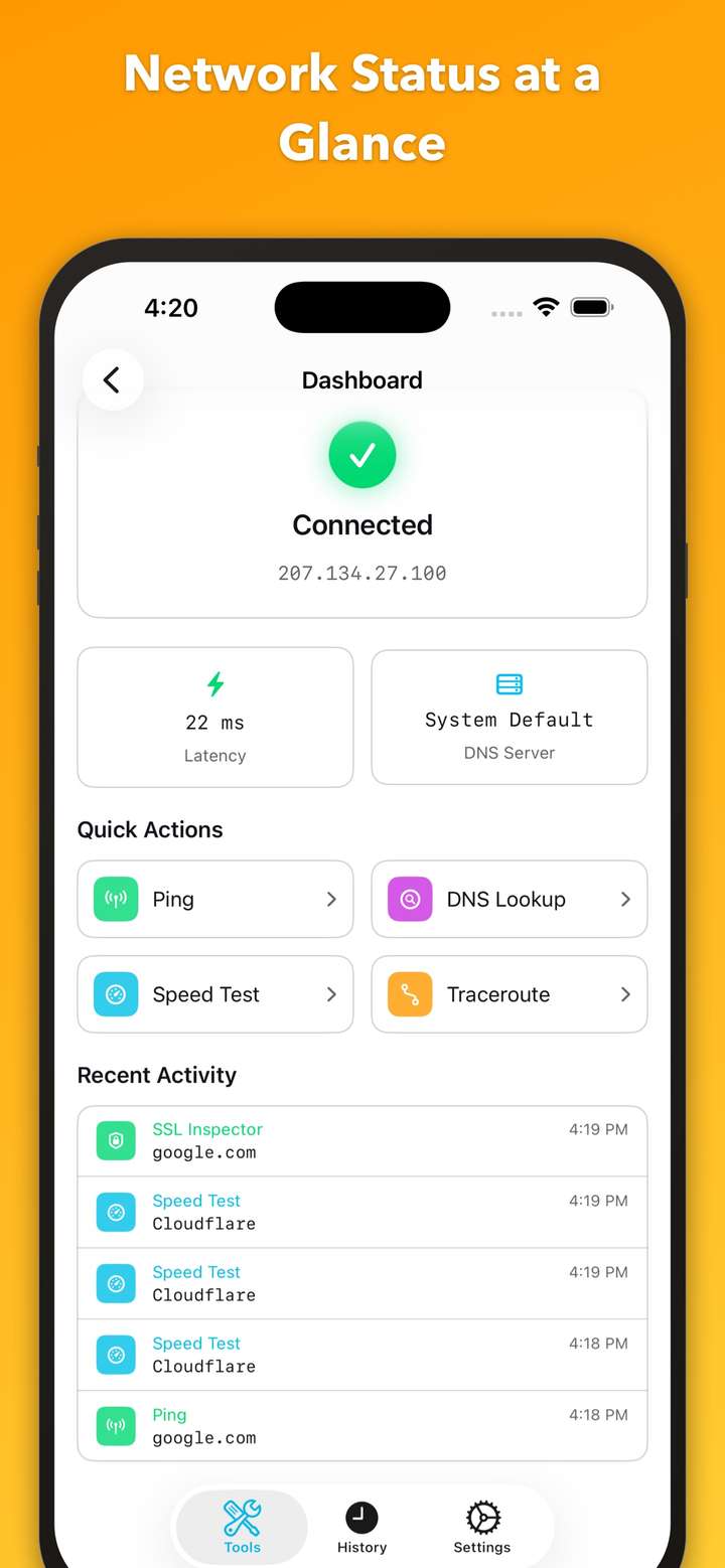 NetProbe Dashboard showing network status overview