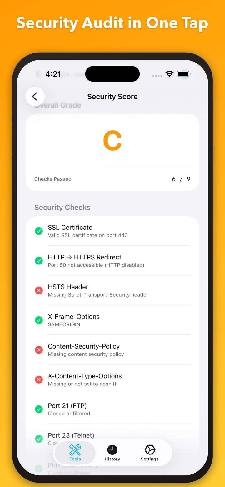 NetProbe Security Score audit results